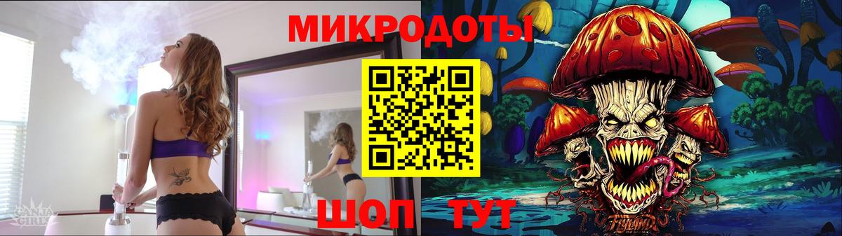 Галлюциногенные грибы Psilocybe Дедовск